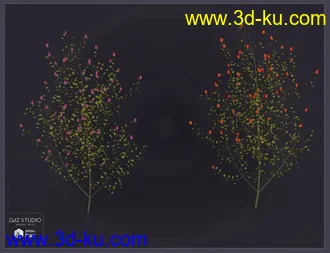3D打印模型The Old Shambles的图片