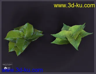 3D打印模型The Old Shambles的图片