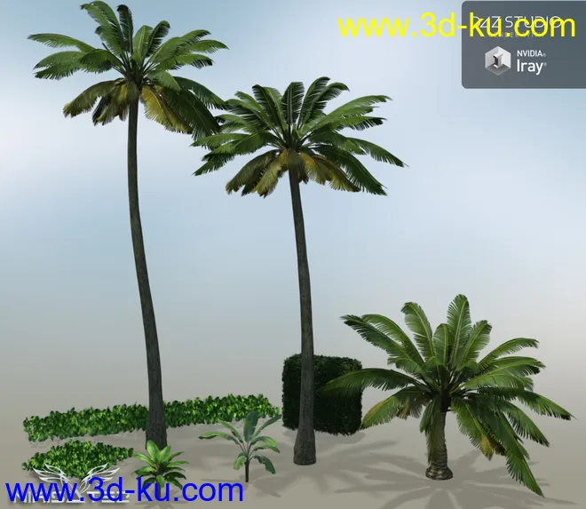 The Resort Pool模型的图片2