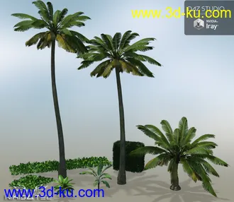 3D打印模型The Resort Pool的图片