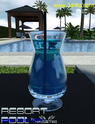3D打印模型The Resort Pool的图片