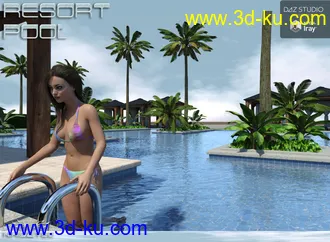 3D打印模型The Resort Pool的图片