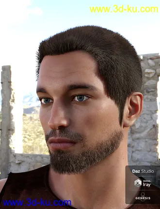 3D打印模型Thorn Hair and Beards for Genesis 8 Male(s)的图片