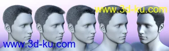 3D打印模型Thorn Hair and Beards for Genesis 8 Male(s)的图片