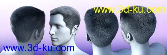 3D打印模型Thorn Hair and Beards for Genesis 8 Male(s)的图片