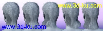 3D打印模型Thorn Hair and Beards for Genesis 8 Male(s)的图片
