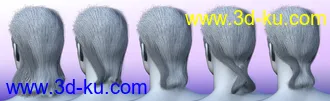 3D打印模型Thorn Hair and Beards for Genesis 8 Male(s)的图片