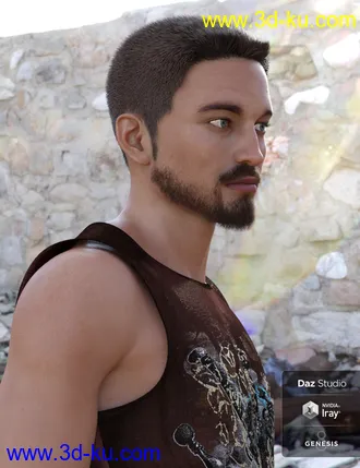 3D打印模型Thorn Hair and Beards for Genesis 8 Male(s)的图片