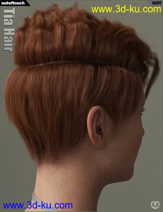 3D打印模型Tia Hair for Genesis 3 and 8 Female(s)的图片