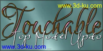 3D打印模型Touchable Top Model Updo的图片