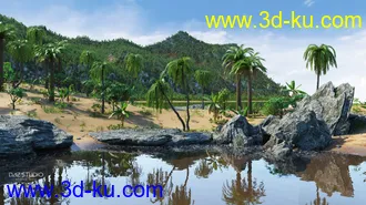 3D打印模型Tropical Lagoon的图片