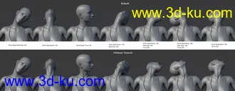 3D打印模型Ultimate Natural Bend Morphs for Genesis 8 Female的图片