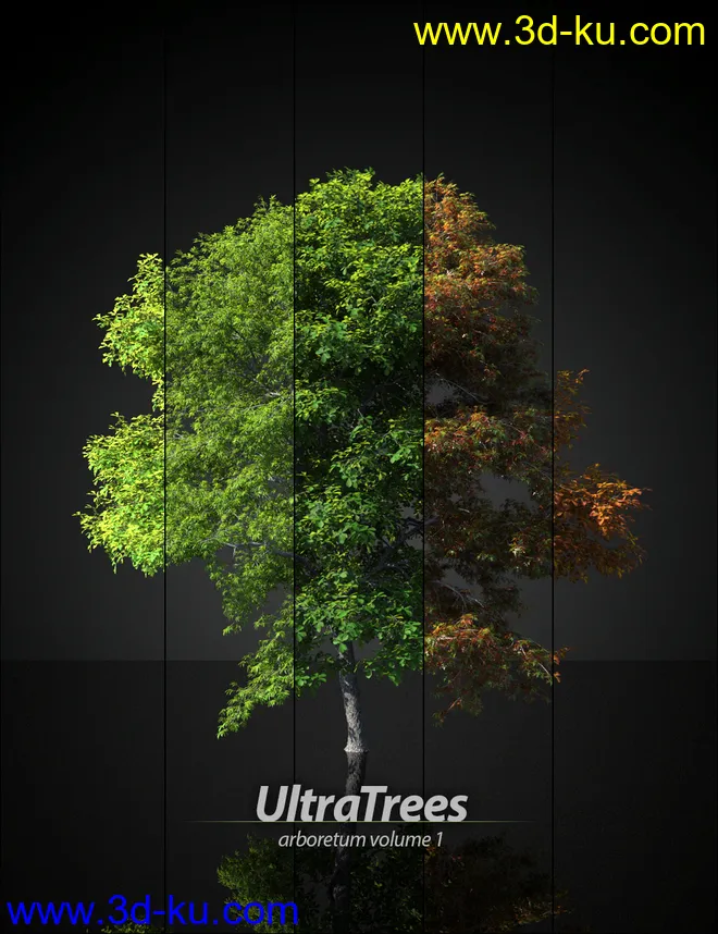 UltraTrees - Arboretum Volume 1模型的图片1