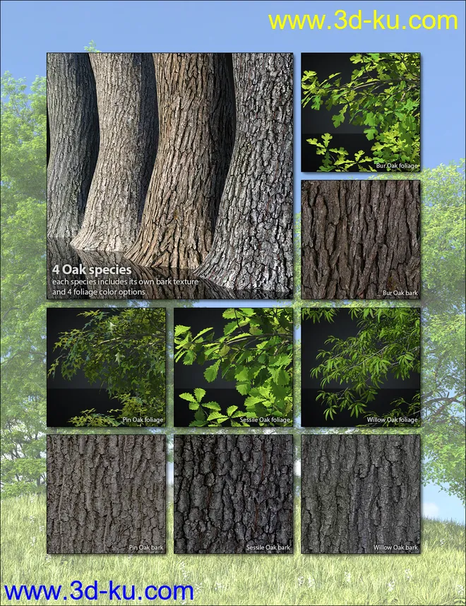 UltraTrees - Arboretum Volume 1模型的图片3