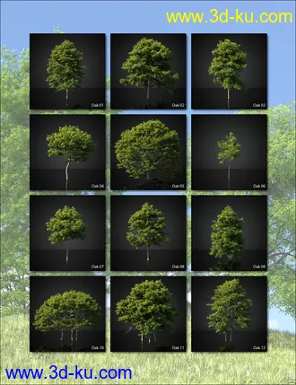 3D打印模型UltraTrees - Arboretum Volume 1的图片
