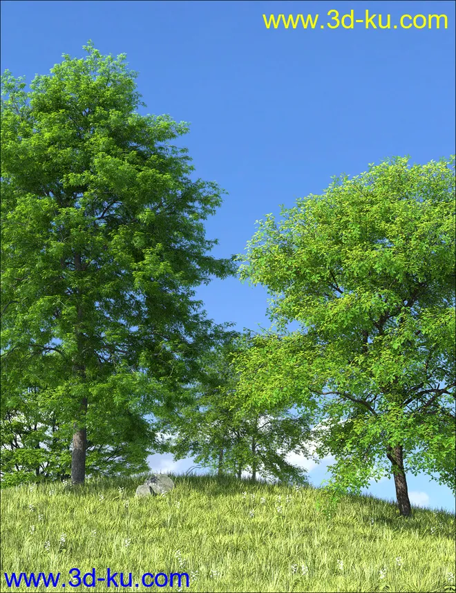 UltraTrees - Arboretum Volume 1模型的图片5