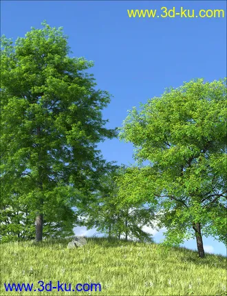 3D打印模型UltraTrees - Arboretum Volume 1的图片