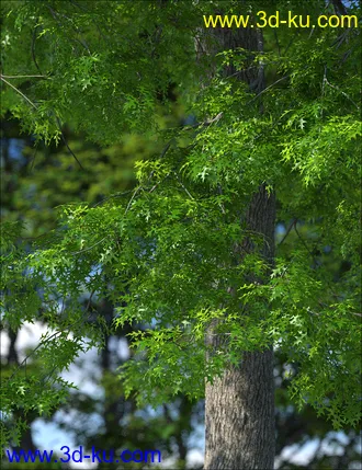 3D打印模型UltraTrees - Arboretum Volume 1的图片