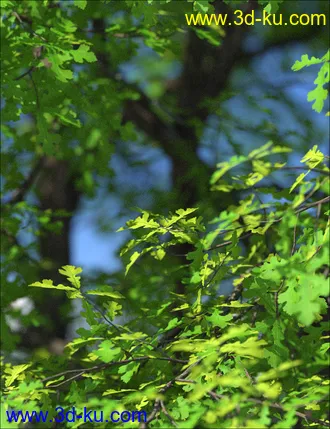 3D打印模型UltraTrees - Arboretum Volume 1的图片