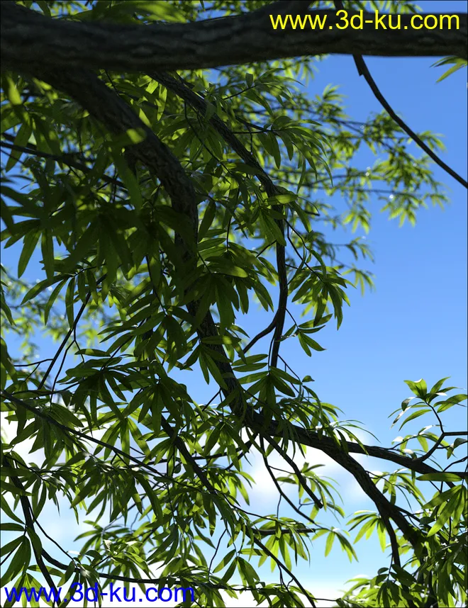 UltraTrees - Arboretum Volume 1模型的图片9