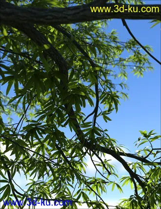 3D打印模型UltraTrees - Arboretum Volume 1的图片