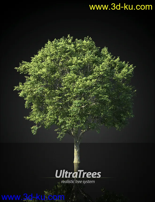 UltraTrees - Realistic Tree System模型的图片1