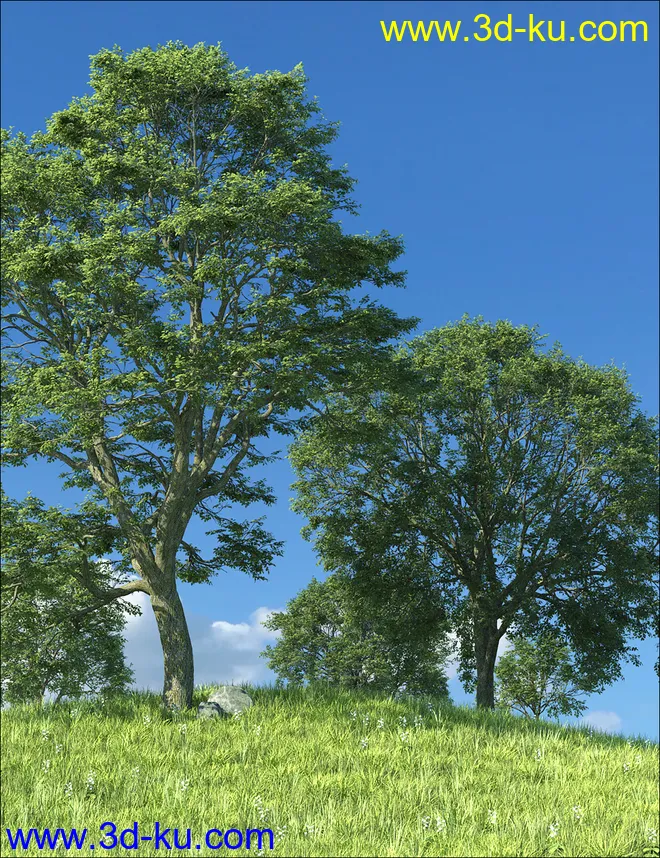 UltraTrees - Realistic Tree System模型的图片5