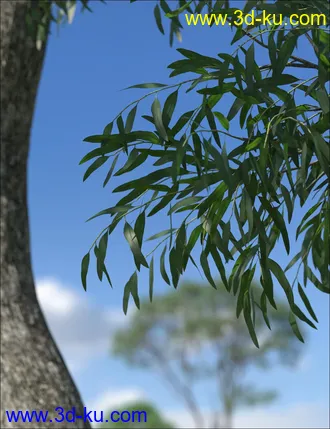 3D打印模型UltraTrees - Realistic Tree System的图片