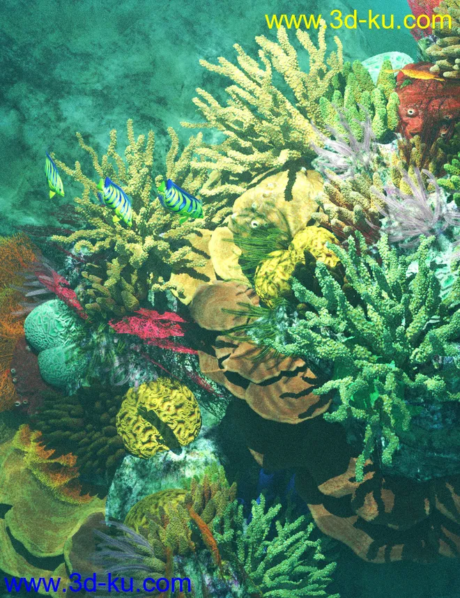 v176 Iray Coral Reef模型的图片1