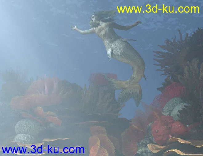 v176 Iray Coral Reef模型的图片4