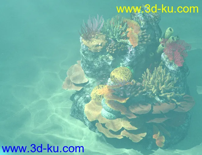 v176 Iray Coral Reef模型的图片5