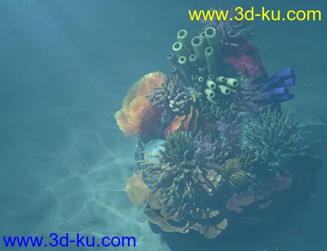 v176 Iray Coral Reef模型的图片6