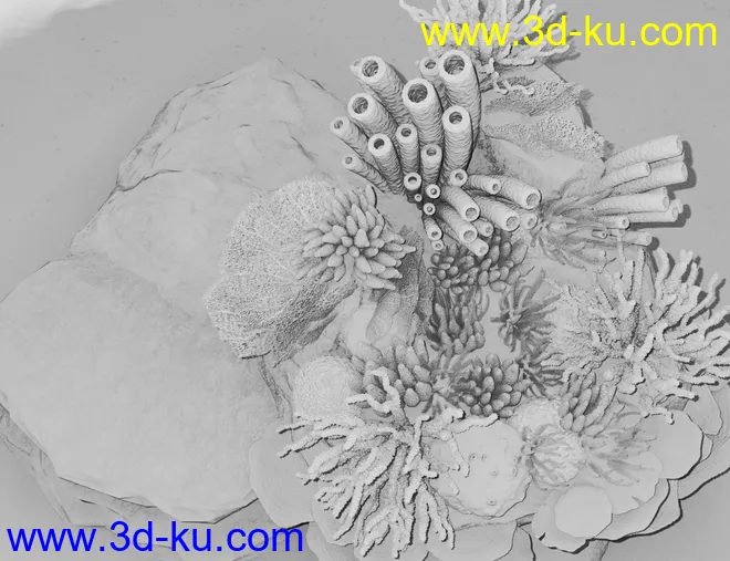 v176 Iray Coral Reef模型的图片11