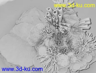 3D打印模型v176 Iray Coral Reef的图片