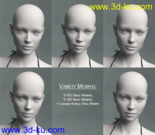 Variety HD Character Morphs for Genesis 8 Female模型的图片12