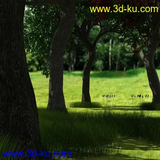 3D打印模型Variety of Tree Species for Iray的图片
