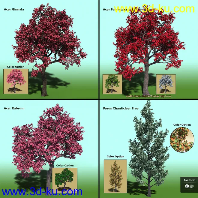 Variety of Tree Species for Iray模型的图片3