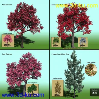 3D打印模型Variety of Tree Species for Iray的图片