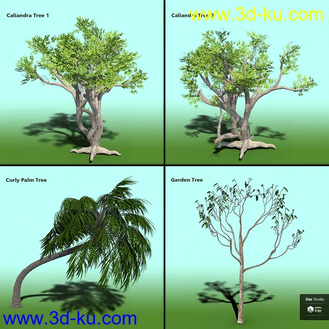 Variety of Tree Species for Iray模型的图片4