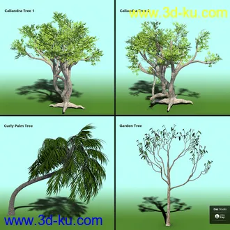 3D打印模型Variety of Tree Species for Iray的图片