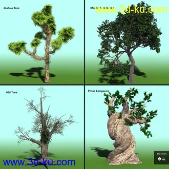 3D打印模型Variety of Tree Species for Iray的图片