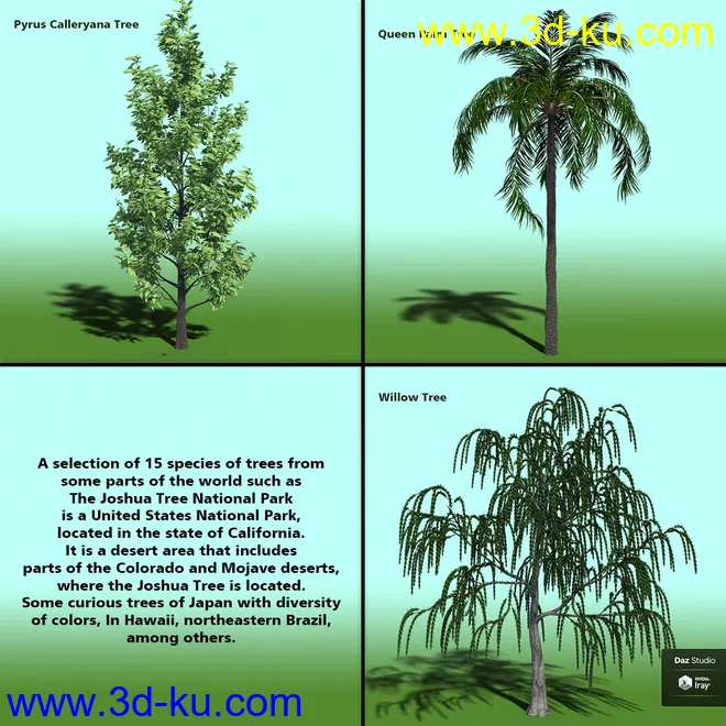 Variety of Tree Species for Iray模型的图片6