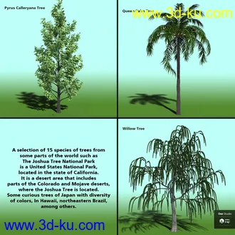 3D打印模型Variety of Tree Species for Iray的图片