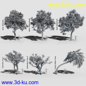 3D打印模型Variety of Tree Species for Iray的图片