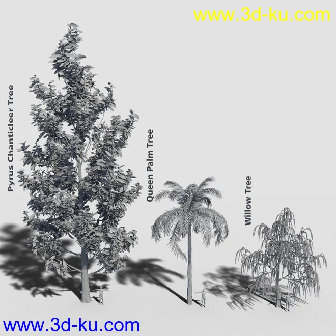 Variety of Tree Species for Iray模型的图片9
