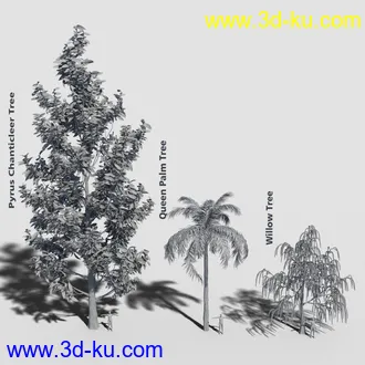 3D打印模型Variety of Tree Species for Iray的图片