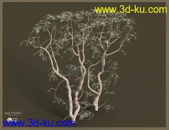 3D打印模型Victorian Iron Conservatory的图片