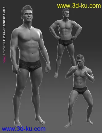 3D打印模型VIRAL Poses for Elios 8 and Genesis 8 Male的图片