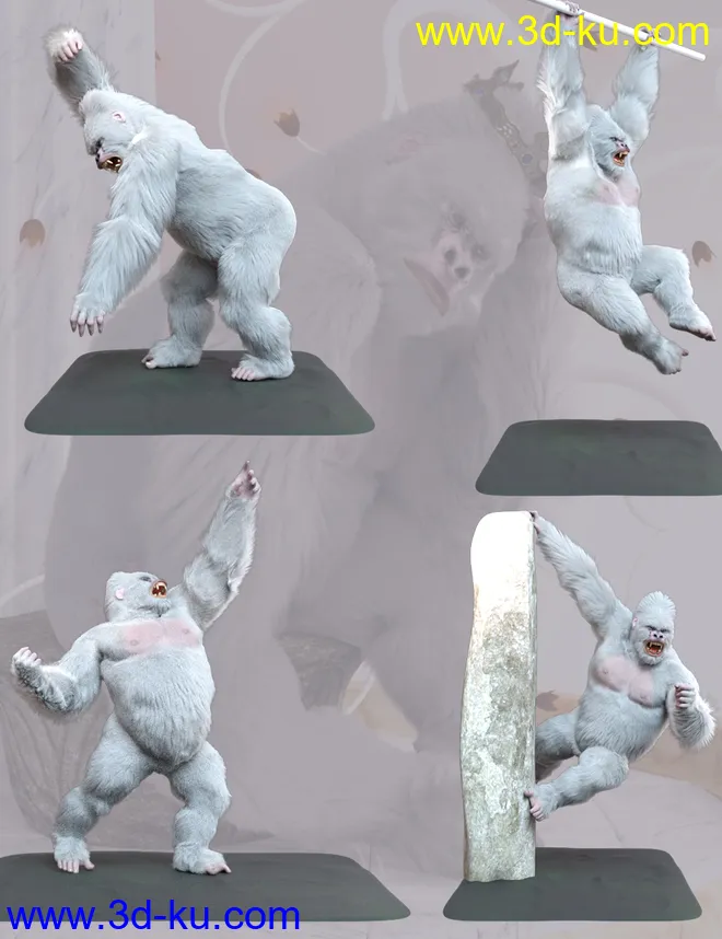 White King Poses for Gorilla for Genesis 8 Male模型的图片4