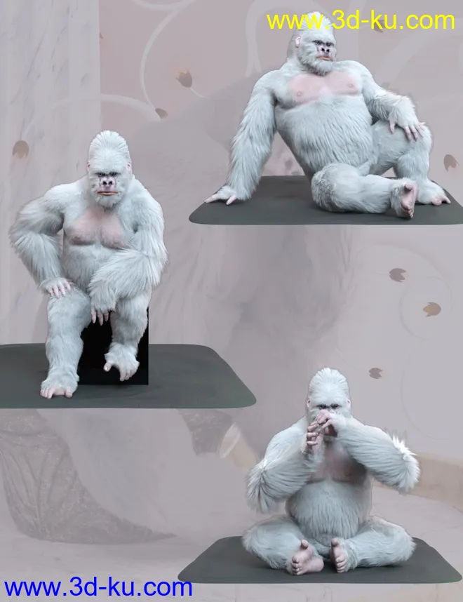 White King Poses for Gorilla for Genesis 8 Male模型的图片5